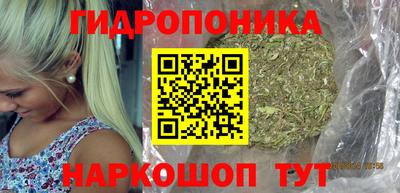 молекула духа Славянск-на-Кубани