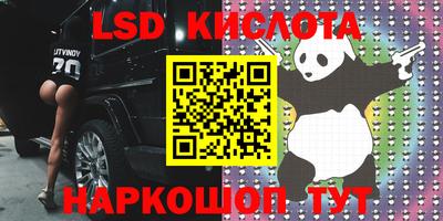 индика Славгород