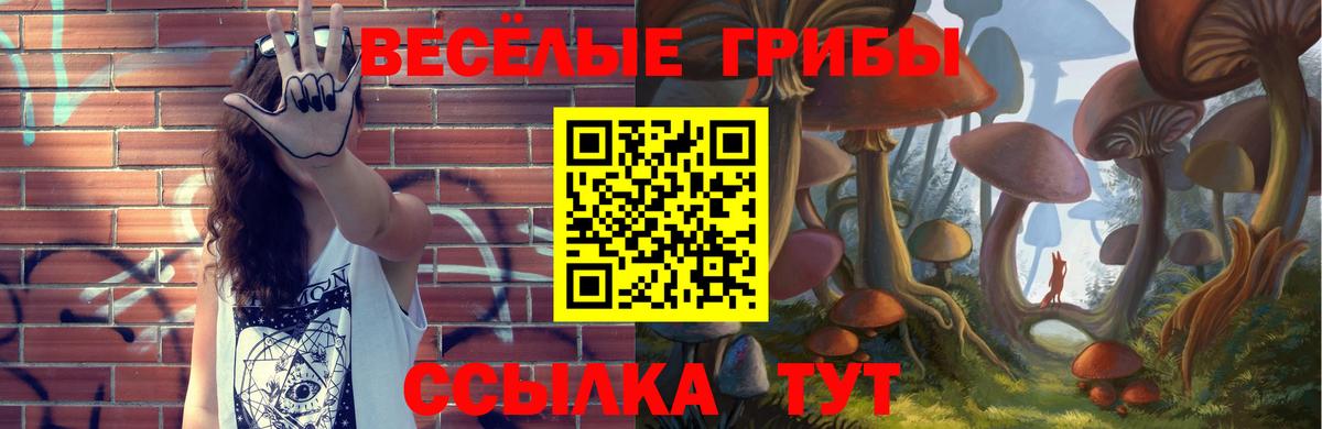 Псилоцибиновые грибы Cubensis Подольск
