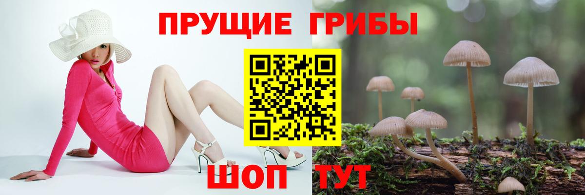 Галлюциногенные грибы мицелий  Вход с VPN  Подольск 